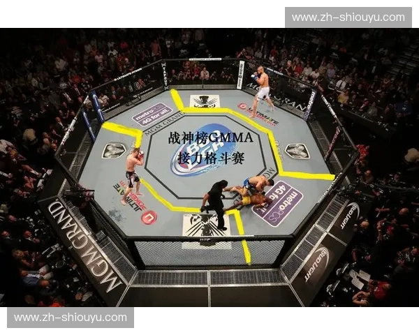 综合格斗数据预测：把握胜负背后的每一条秘密