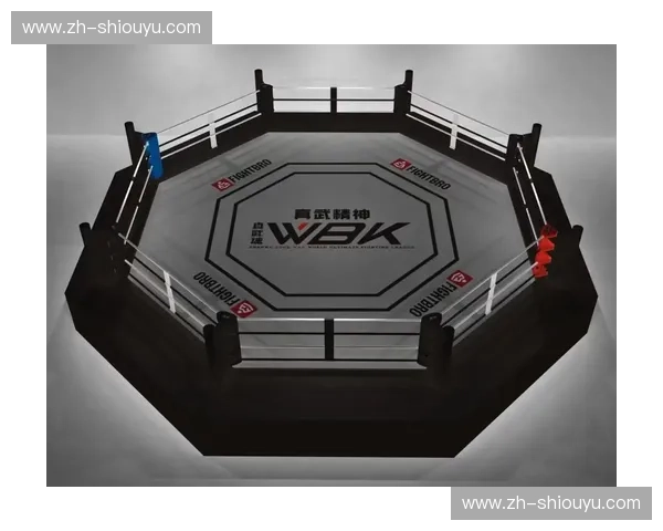 擂台之王还是文化瑰宝？当现代散打遇上传统武术，谁才是真正的中国格斗之魂？